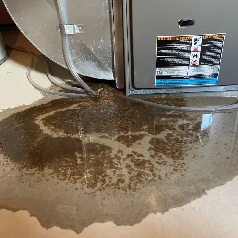 Pipe Burst and Leak Restoration in Pawcatuck, CT